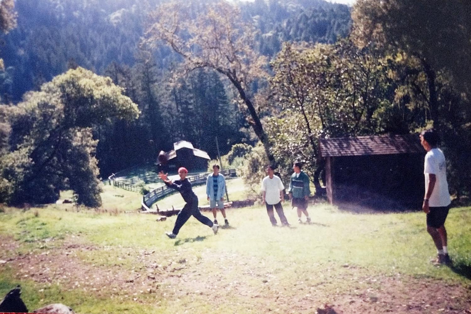 Photograph 102 from Design Reactor & Rotten Tomatoes album